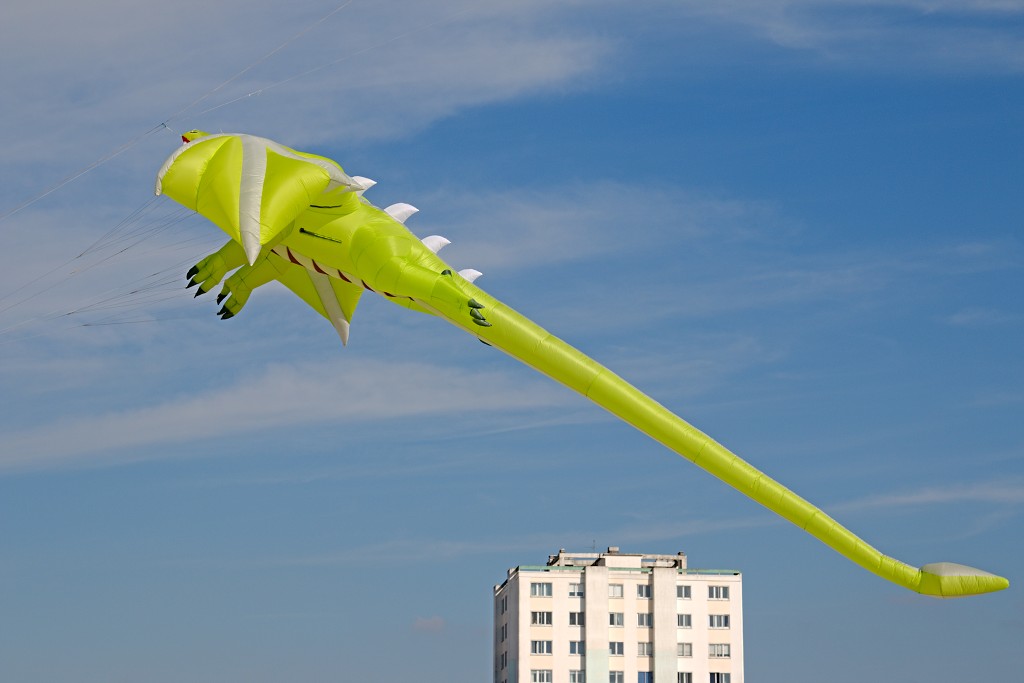 Cerfs-Volants vliegerfestival festival festiviteit evenement event berck sur mer vlieger speelgoed strand